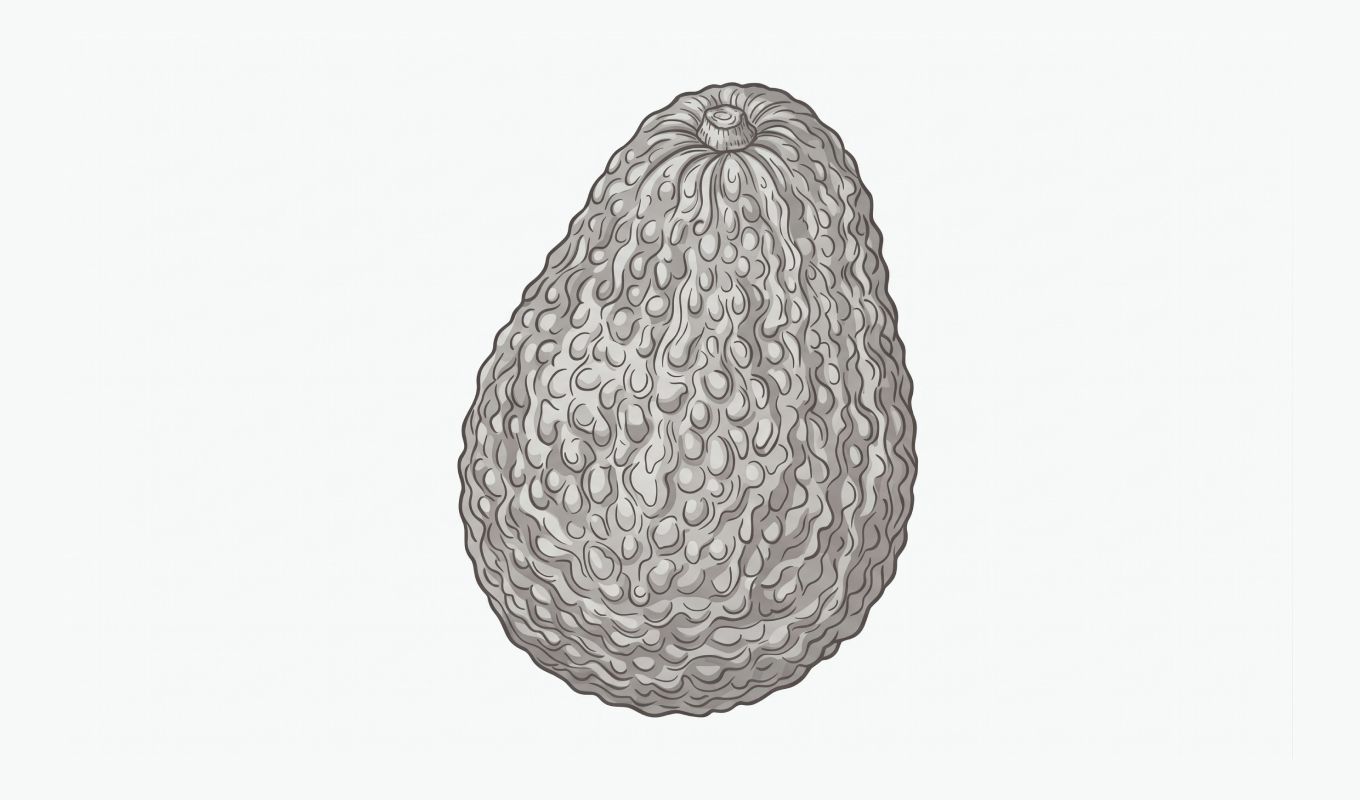 Avocado
